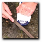 [Click to enlarge image]