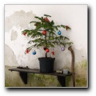 [Click to enlarge image]