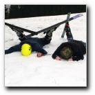 [Click to enlarge image]