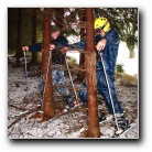 [Click to enlarge image]