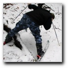 [Click to enlarge image]