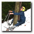 [Click to enlarge image]